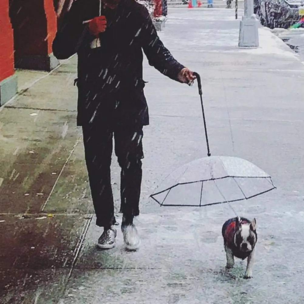 Transparent Dog Umbrella for Pets and Accessories