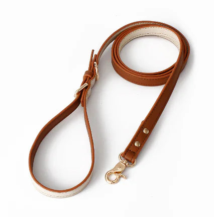 Retro Dog Collar with Traction Rope