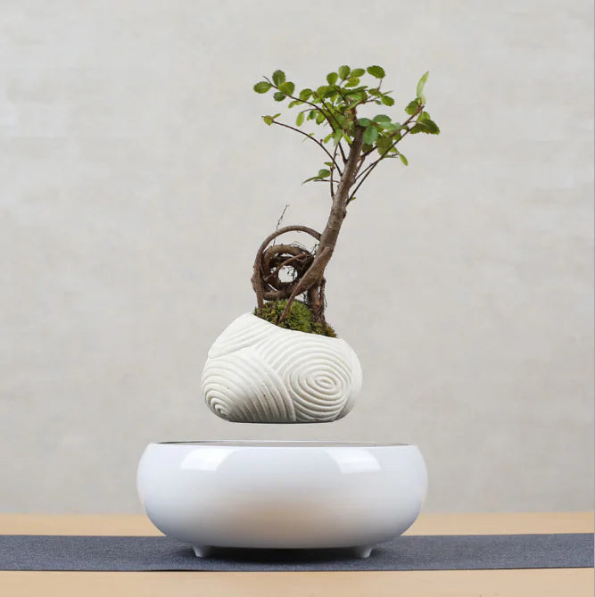 Floating Flower Pot