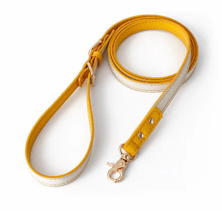 Retro Dog Collar with Traction Rope