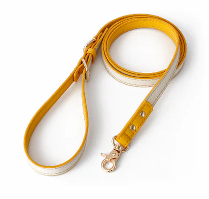 Retro Dog Collar with Traction Rope