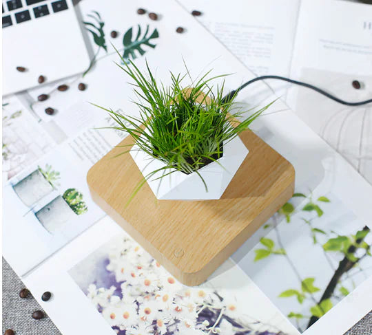 Floating Flower Pot