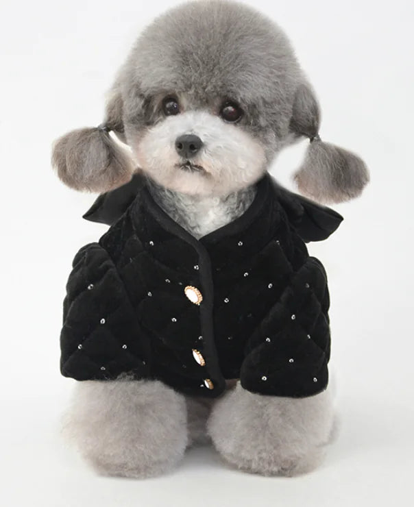 New Pet Cotton Coat for Warmth and Comfort