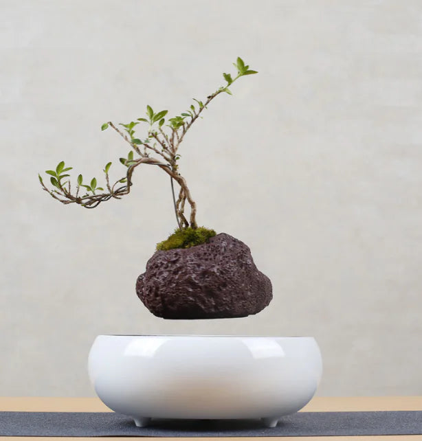 Floating Flower Pot