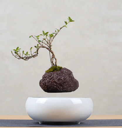 Floating Flower Pot