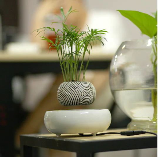 Floating Flower Pot