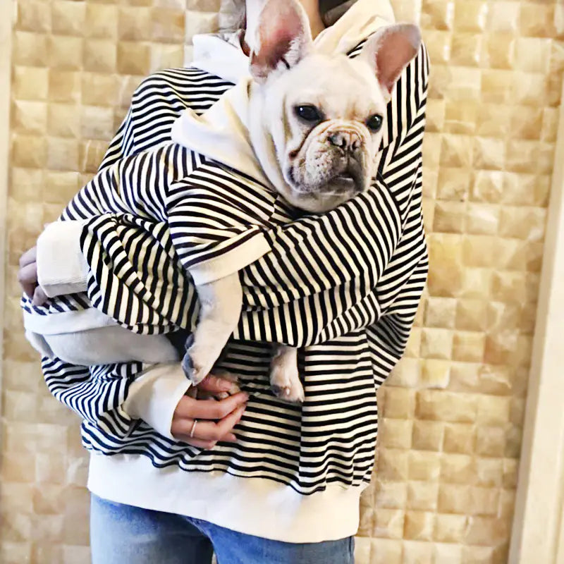 Dog Sweatshirt for Small Breeds - Matching Family Outfits