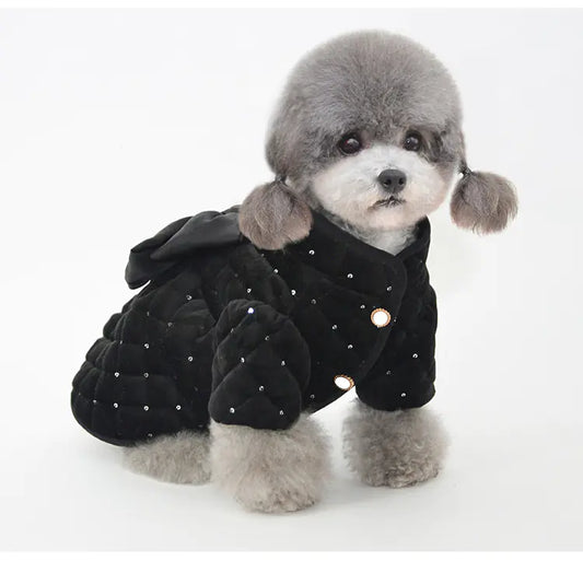 New Pet Cotton Coat for Warmth and Comfort