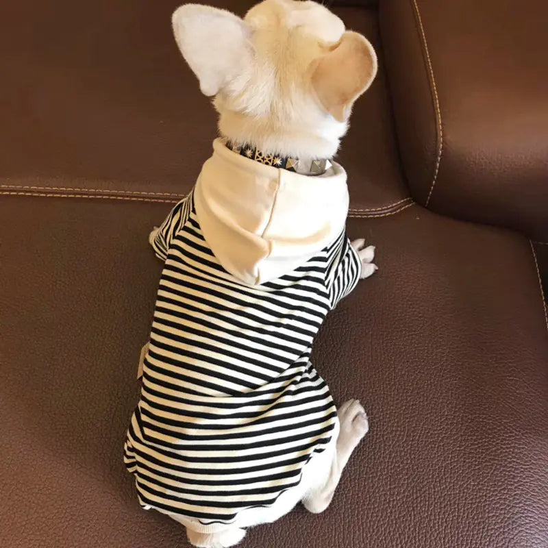 Dog Sweatshirt for Small Breeds - Matching Family Outfits