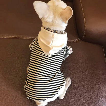 Dog Sweatshirt for Small Breeds - Matching Family Outfits