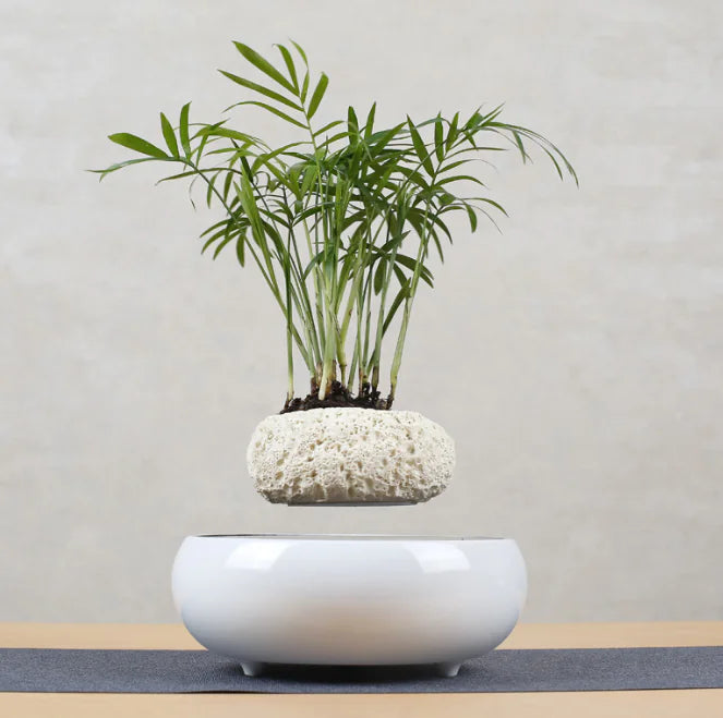 Floating Flower Pot