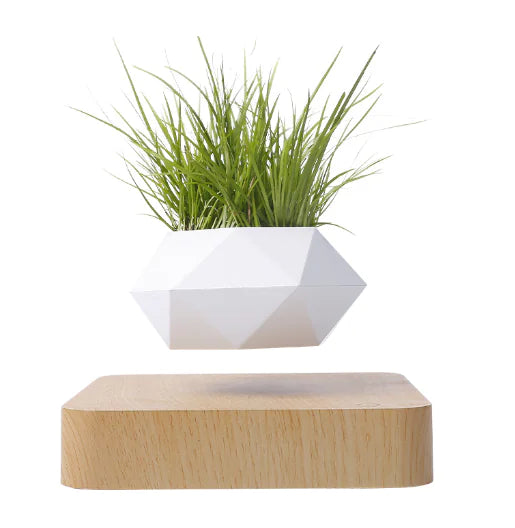 Floating Flower Pot