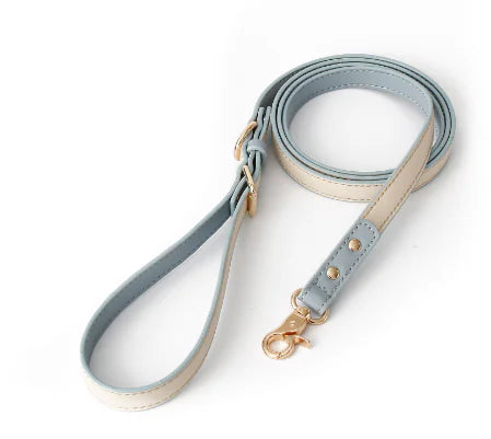 Retro Dog Collar with Traction Rope