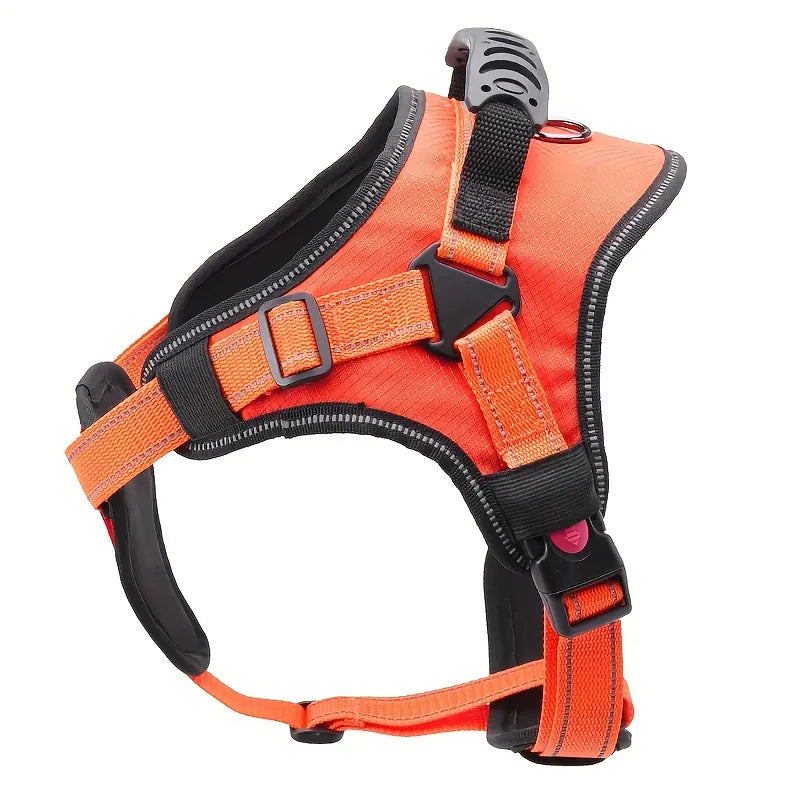 High Quality Impact Dog Leash and Chest Strap