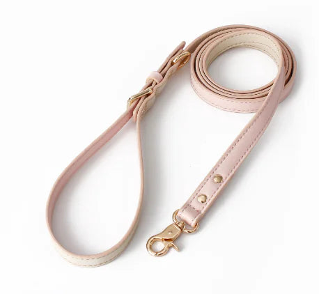 Retro Dog Collar with Traction Rope