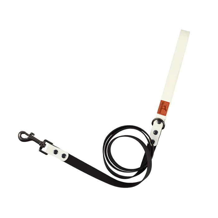 Retro Dog Collar with Traction Rope