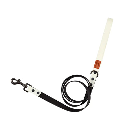 Retro Dog Collar with Traction Rope
