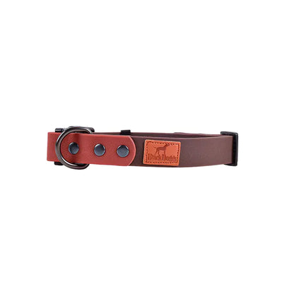 Retro Dog Collar with Traction Rope